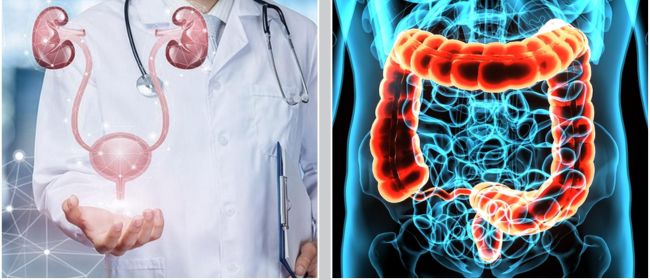 Il 25 e 26 marzo screening di prevenzione urologici e del tumore del colon retto a Borgosesia e a Vercelli