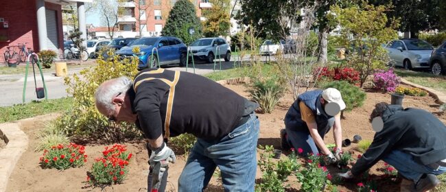“Giardino è vita sociale”: quando il verde diventa inclusione